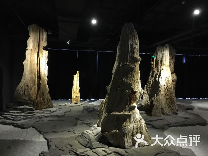 上海木文化博物馆-图片-上海景点