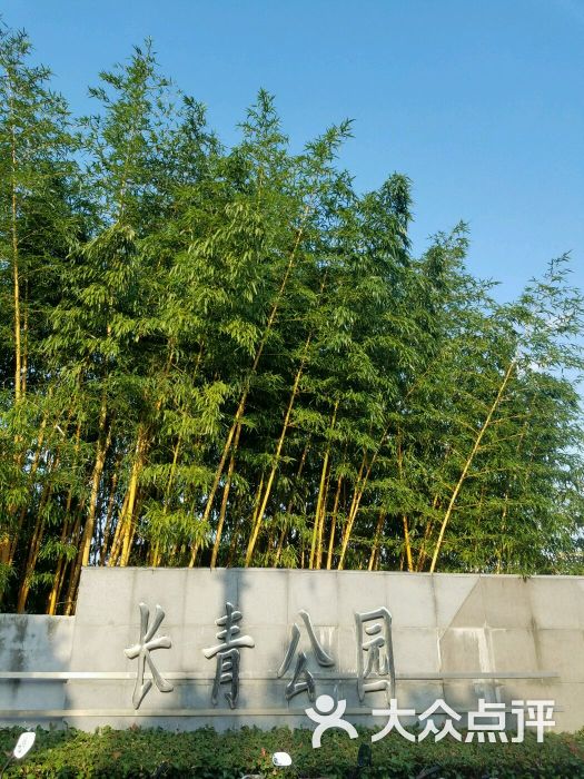 长青公园-图片-上海周边游-大众点评网
