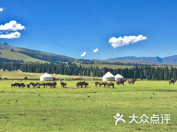 那拉提旅游风景区图片 第9张