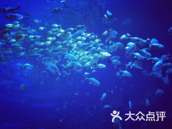 博旅:升级了海景房,太潮湿了不能开窗.珠海生活