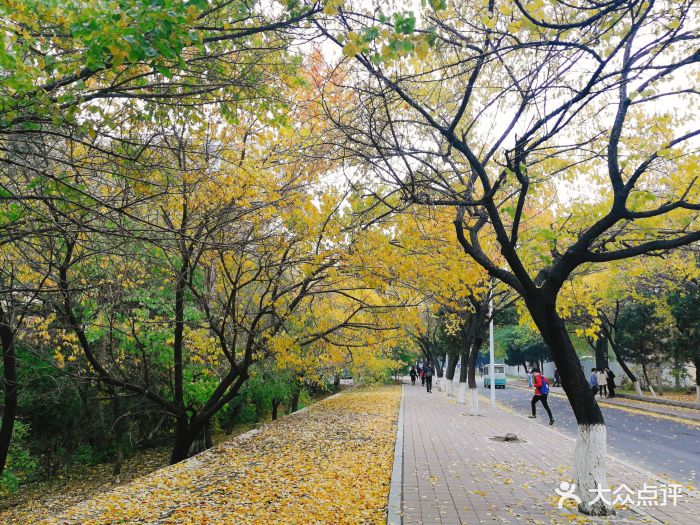 吉林大学(南岭校区)图片 第5张