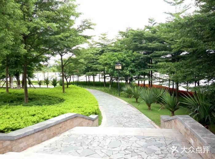 绿岛湖湿地公园图片 - 第67张