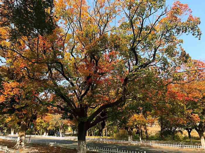 旅顺太阳沟景区-"太阳沟景区交通上还算方便,自驾去是