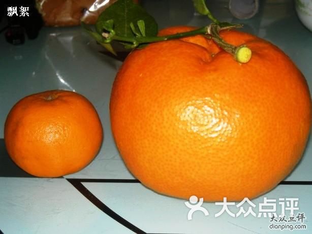 大桔子