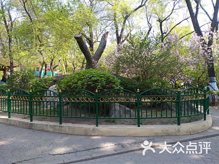 尚志公园图片 - 第15张