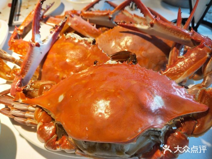 开海红岛海鲜虾水饺(石老人店)-图片-青岛美食-大众