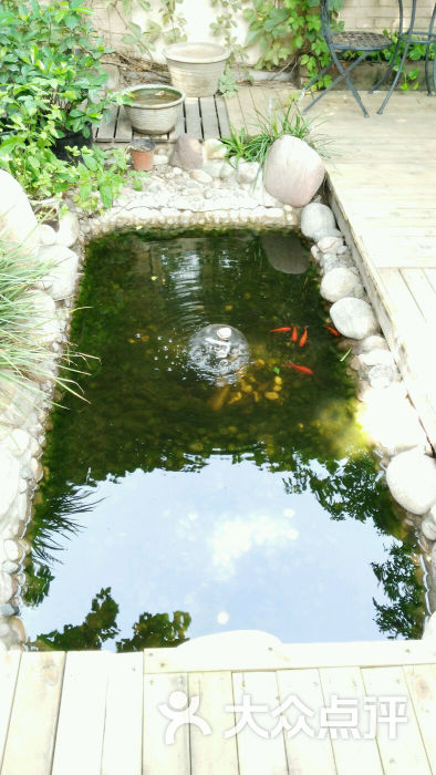 院中金鱼池