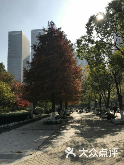 大行宫市民广场图片 - 第31张