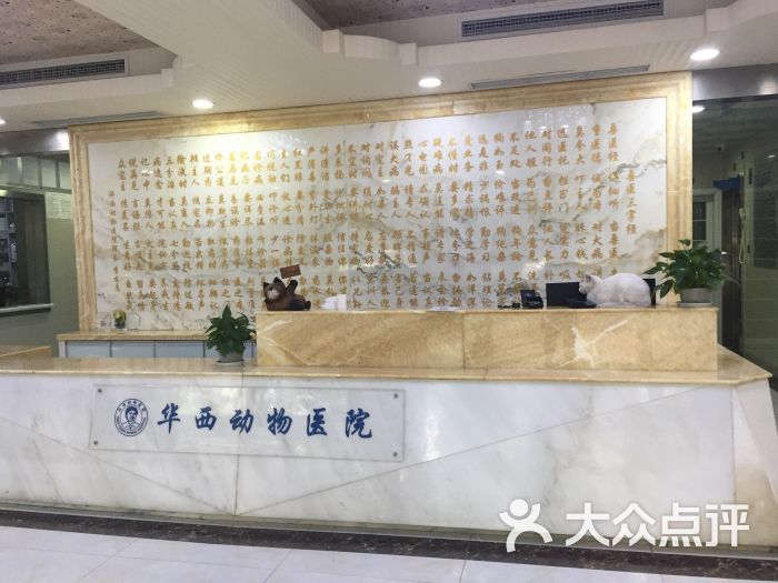 华西动物医院(高新店)图片 - 第8张