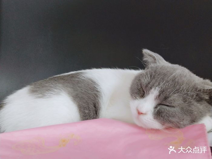 伟德国际中鑫富海（海南）矿业科技有限公司成立