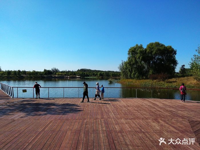 东郊湿地公园图片 - 第67张