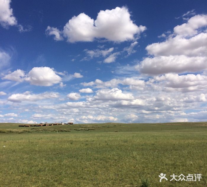 希拉穆仁草原-图片-达尔罕茂明安联合旗景点/周边游-大众点评网