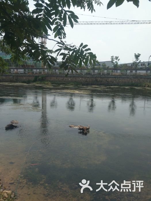 双溪漂流:随上海旅游集散中心的一日游来到.杭