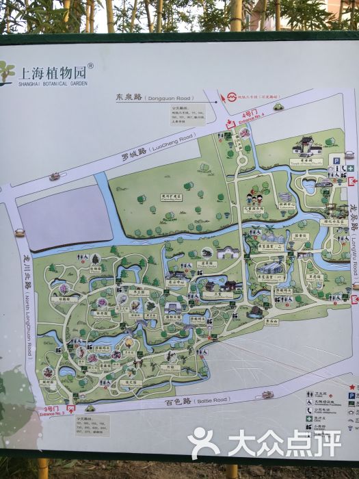 上海植物园图片 - 第119张