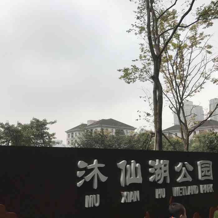 沐仙湖湿地公园-"打卡木仙湖公园超级多的福寿螺最在.