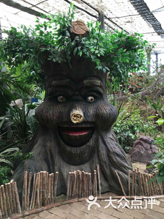 呀路古热带植物园_路古热带植物园门票