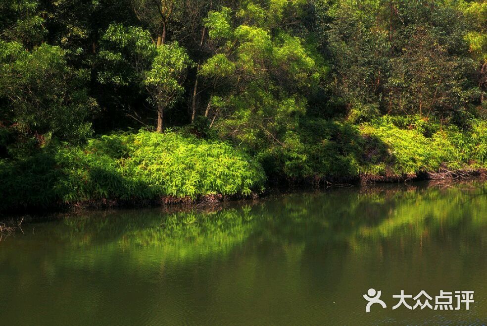 番禺大夫山森林公园旅游区