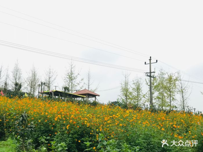 七彩祥耘开心农场-图片-重庆亲子-大众点评网