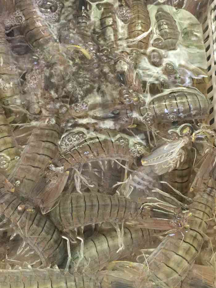 肖七鱼虾海鸭-"超级好吃,一家其貌不扬的隐藏海鲜店[.