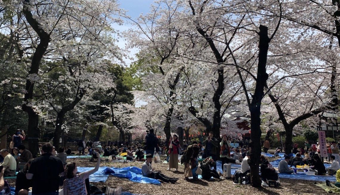 日本·东京·上野公园