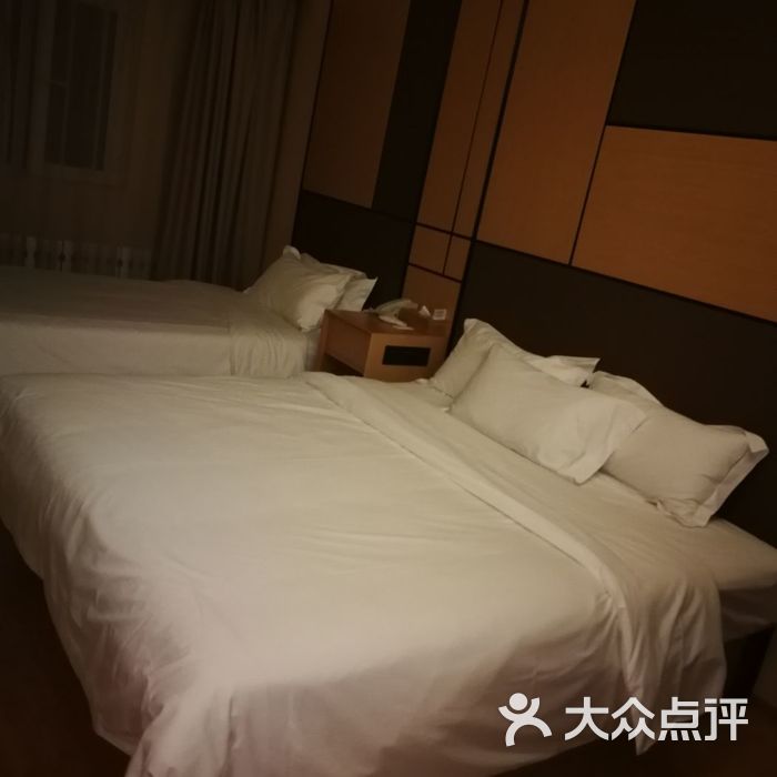 大眼驴大眼驴大眼驴           假装很忙