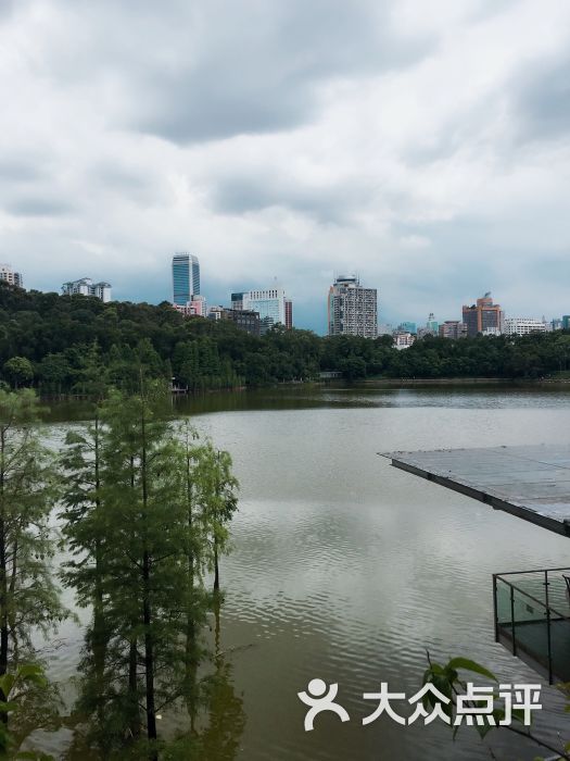 越秀区 麓湖公园 粤菜 粤菜馆 鹿鸣酒家 所有点评  07-25
