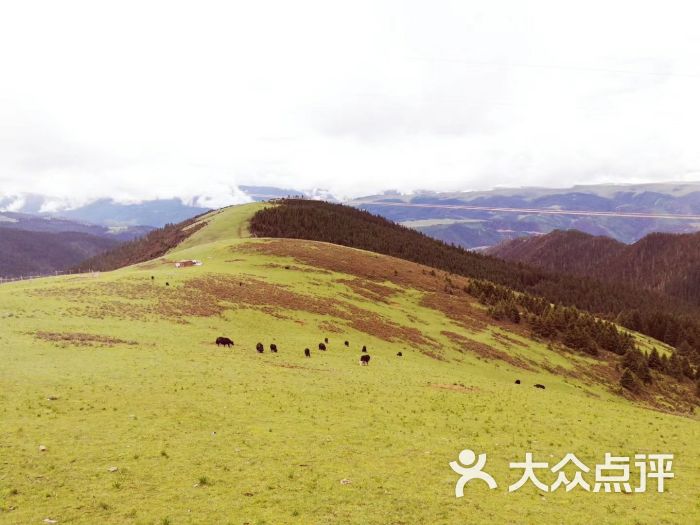 康定跑马山风景区图片 - 第11张