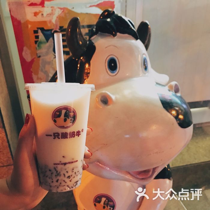 一只酸奶牛(解放碑八一路店)-图片-重庆美食-大众点评