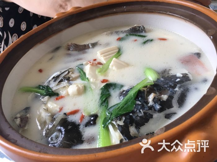 千岛湖有机鱼头