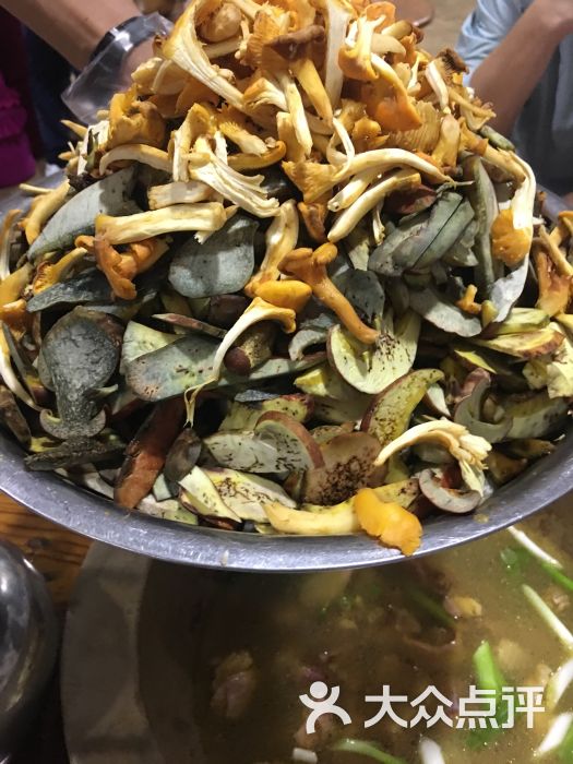 金石锅-野生菌子-菜-野生菌子图片-晋宁县美食-大众点评网