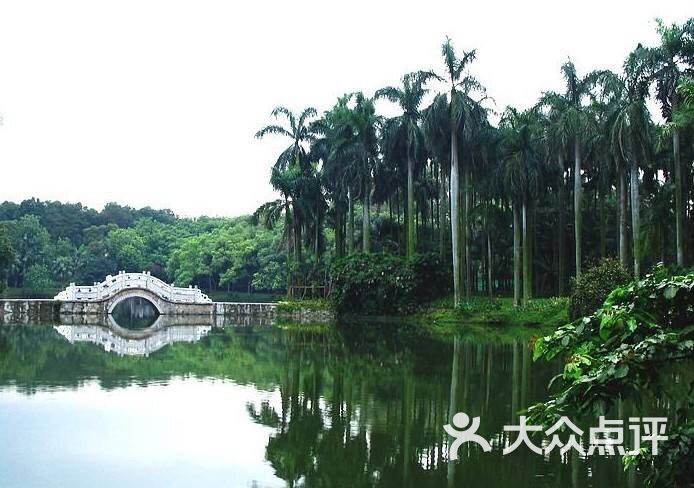 龙洞树木公园-图片-广州周边游-大众点评网