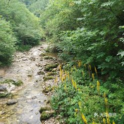 屏山县旅游景区有哪些 5esRVbVUlcl8emSNAV6t6gaUjw74ku7FO8S3iYyYMwzsBtuBJfhzJ8C_Iz-VgaBUuzFvxlbkWx5uwqY2qcjixFEuLYk00OmSS1IdNpm8K8twhW7bzr4O88Ivp4FuDG0SfCF2ubeXzk49OsGrXt_KYDCngOyCwZK-s3fqawWswzk.jpg