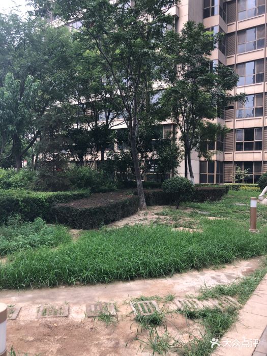 悦府家园小区环境图片 - 第22张