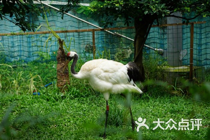 广州动物园图片 - 第36张