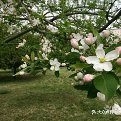 【东湖公园】电话,地址,价格,营业时间(图) - 庆