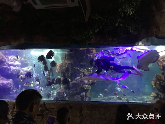 蠡湖中央公园海底世界图片