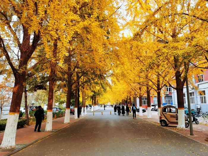 北京交通大学