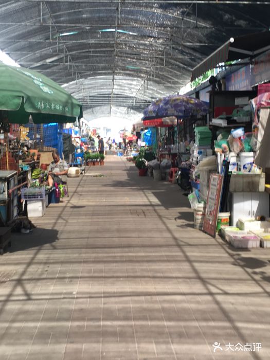 登发花鸟鱼虫市场-图片-天津宠物-大众点评网