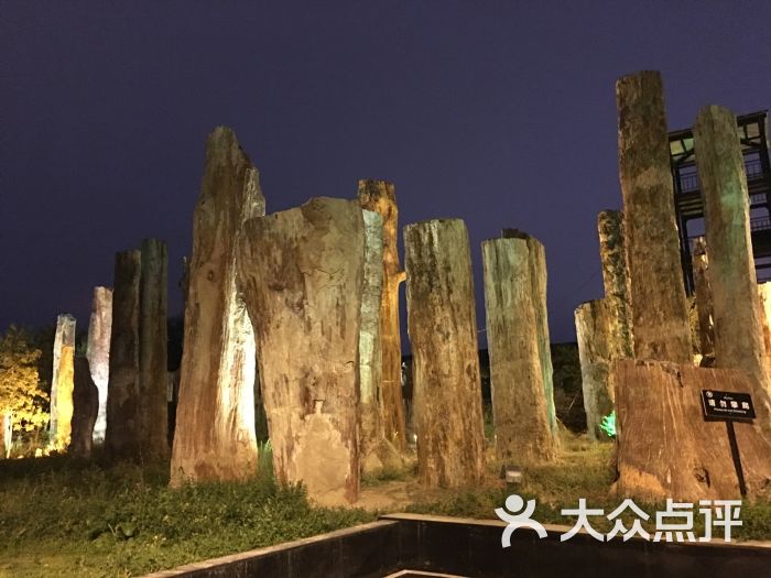 野马丝路驿站文化主题沙龙-图片-乌鲁木齐酒店-大众