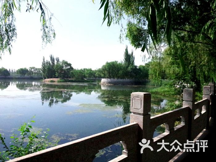 东湖公园-图片-庆阳周边游-大众点评网