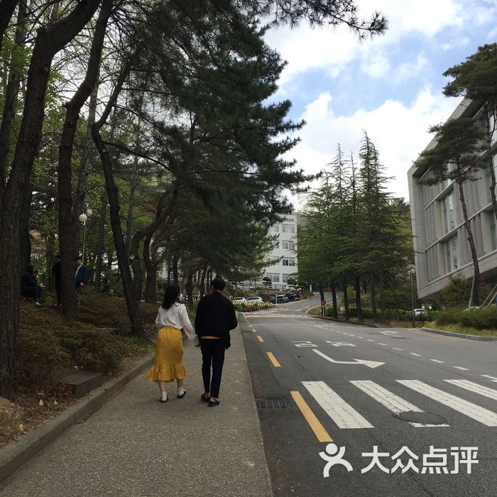 釜山大学