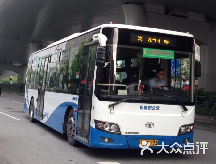 公交车(453路)-沪dg8623-环境-453公交车图片-上海