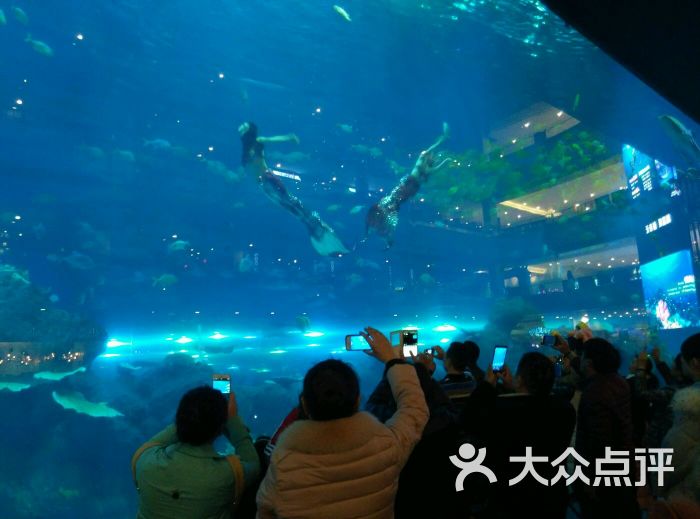 海滨城浩海立方海洋馆-图片-双流区周边游-大众点评网