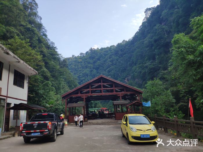 黄荆老林图片
