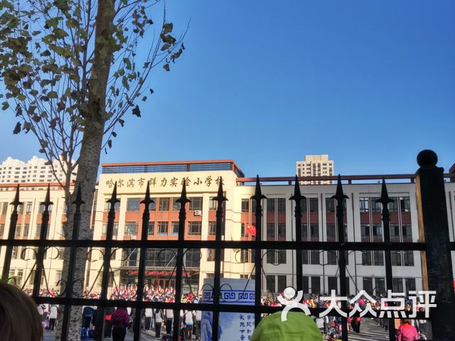 群力实验小学校课程_价格_简介_怎么样-哈尔滨学习培训-大众点评网