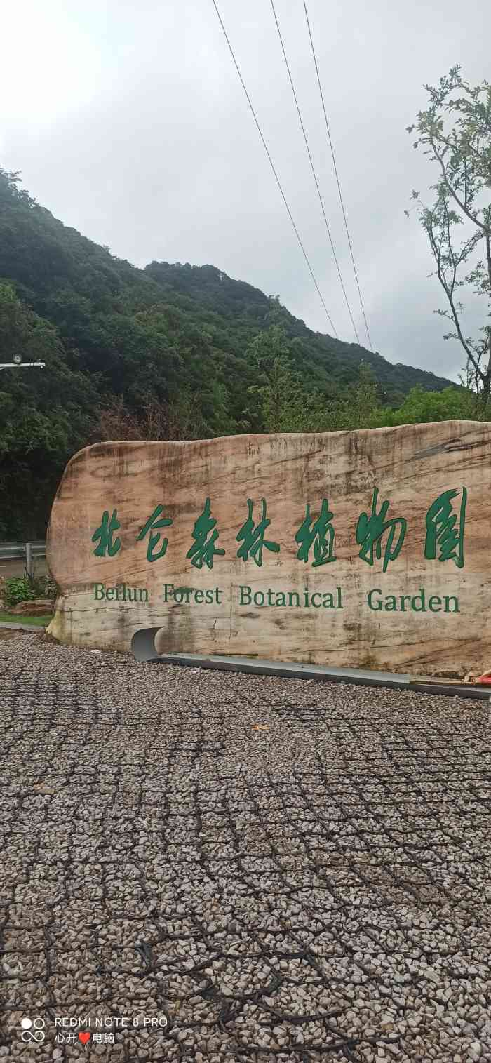 北仑森林植物园-"宁波北仑森林植物园 地址:位于太白.