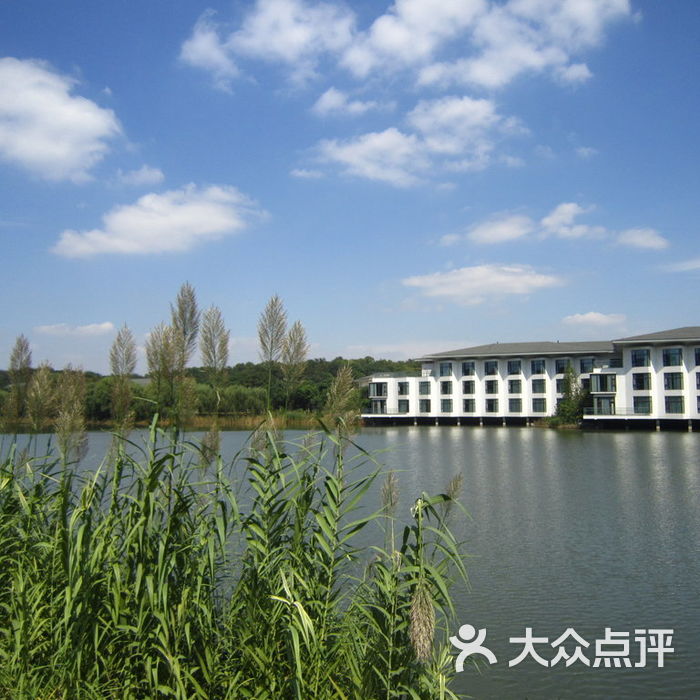 南京紫金山庄会议中心餐厅图片-北京豪华型-大众点评网