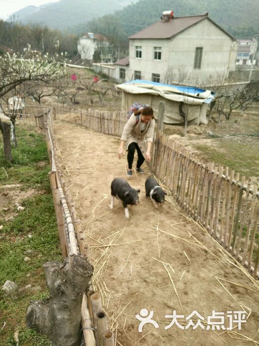 深山沟家庭农场图片 - 第8张