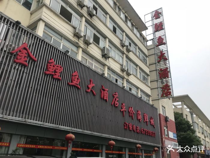 金鲤鱼大酒店图片