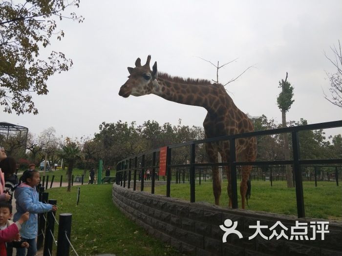 淮安动物园北门售票处图片 第5张